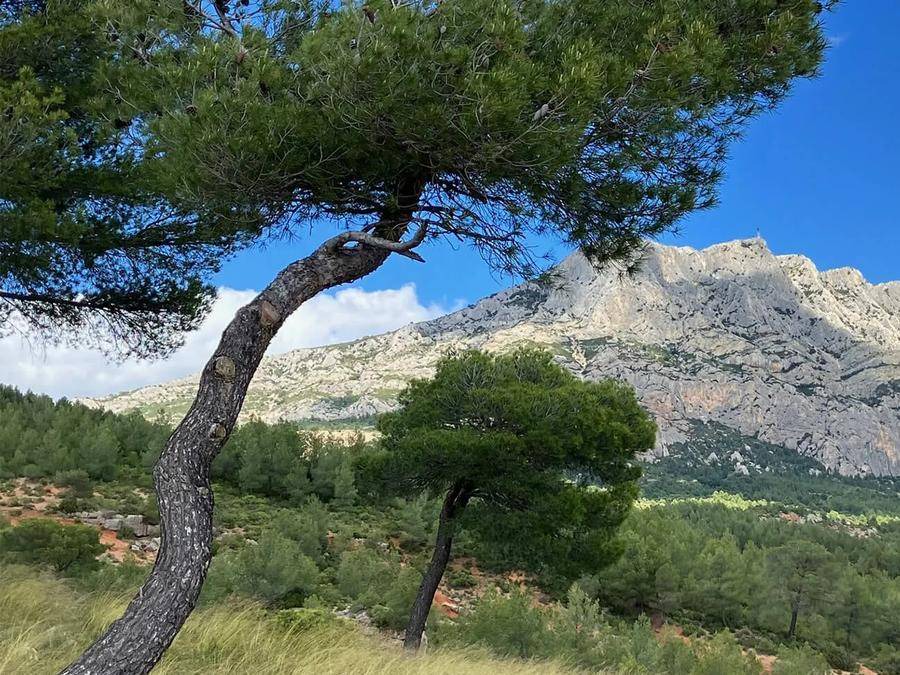 Puyloubier House | 27 m² Mobile home ∙ 2 bedrooms ∙ 6 guests