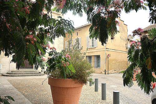 Avignon City Centre Apartment | 50 m² Apartment ∙ 4 guests