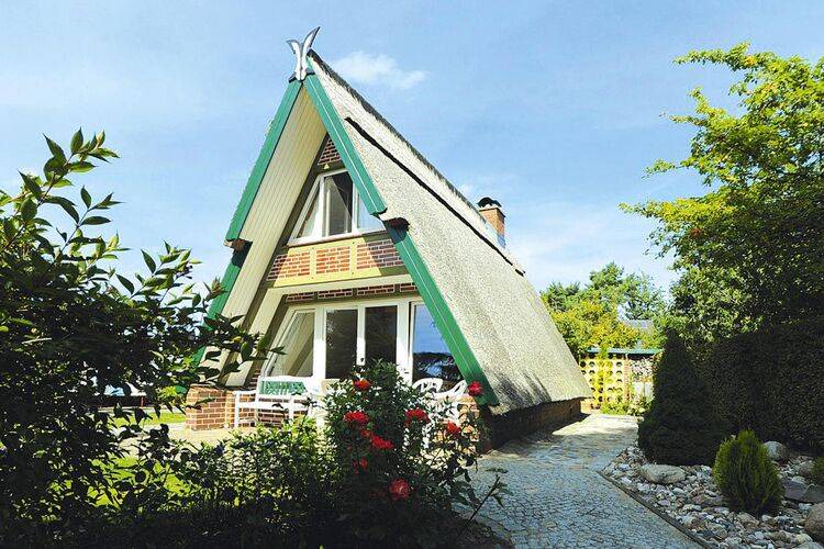 Freest House | 60 m² House ∙ 1 bedroom ∙ 4 guests