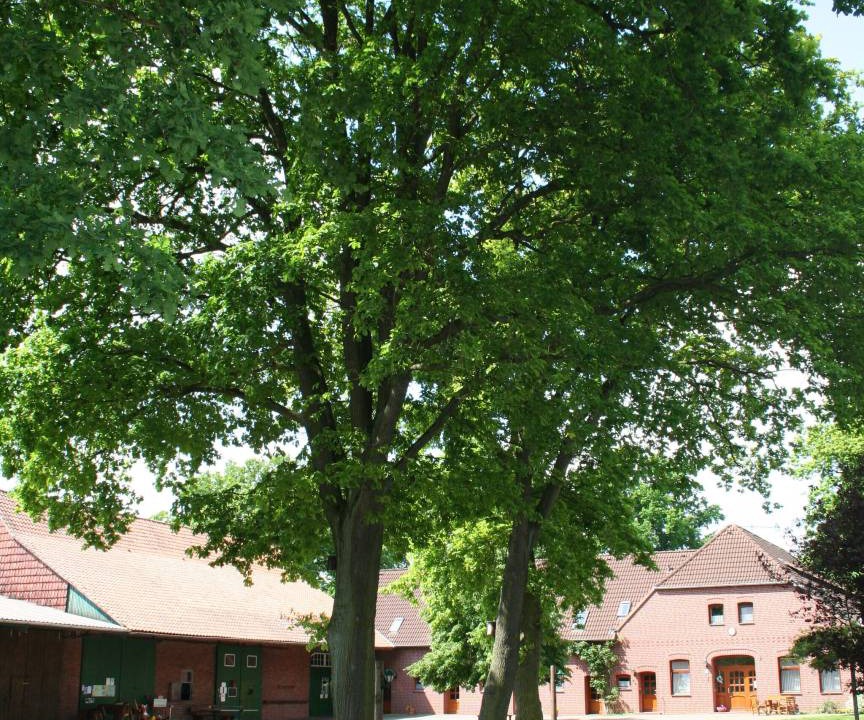 Region Hannover District Apartment | 70 m² Apartment ∙ 2 bedrooms ∙ 4 guests