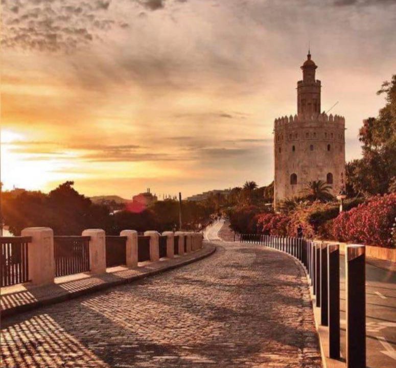 Triana | Triana
