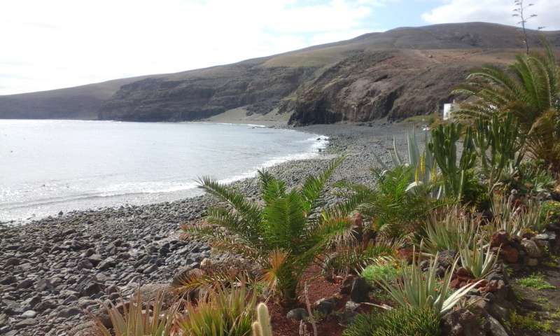 Playa Quemada Apartment | Apartment LUCICHO in Playa Quemada for 4 persons with terrace, views to the ocean, views of the volcanoes, WIFI and less than 10m to the sea