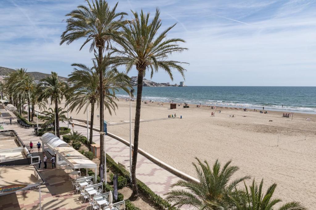 Apolo | Cullera