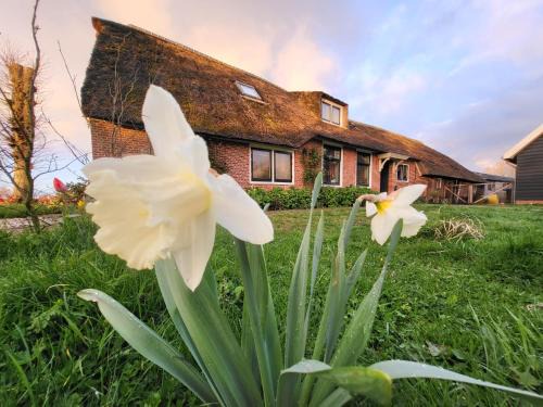 Meije Bed & Breakfast | B&B Koe en Kussen
