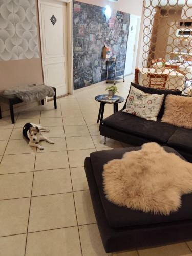 Orszagut Bed & Breakfast | BI&BI