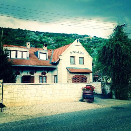 Tokaj House | Borgaléria
