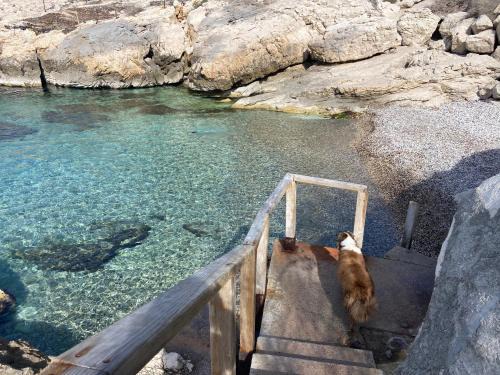Montredon Apartment | Calanque de Samena