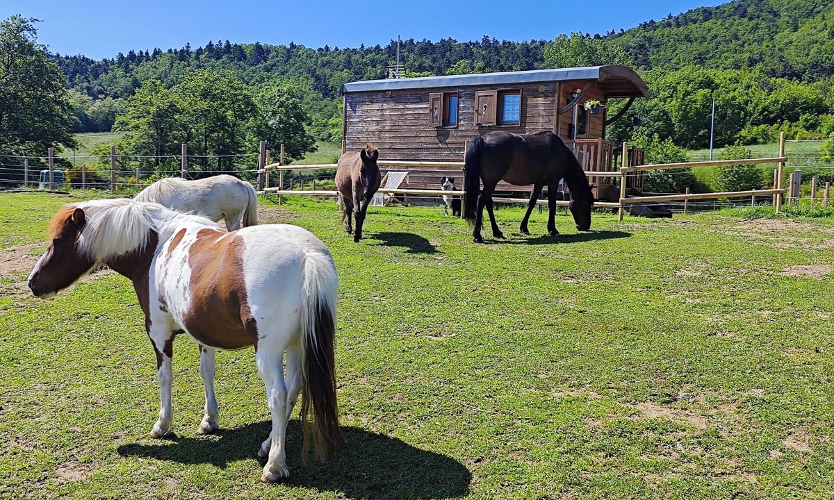 Hermitage-Tournonais-Herbasse-Pays de Saint-Felicien Cabin | Charming caravan in the Ardéchoise hills