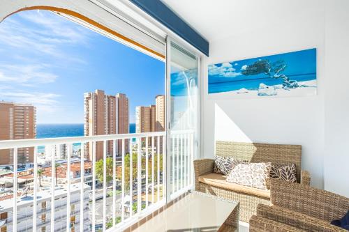 Don Paco | Benidorm
