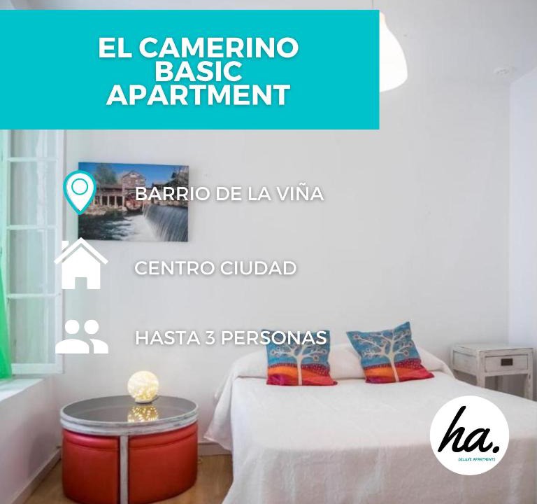 Old Town Apartment | El Camerino del Falla Basic Ha Apartment