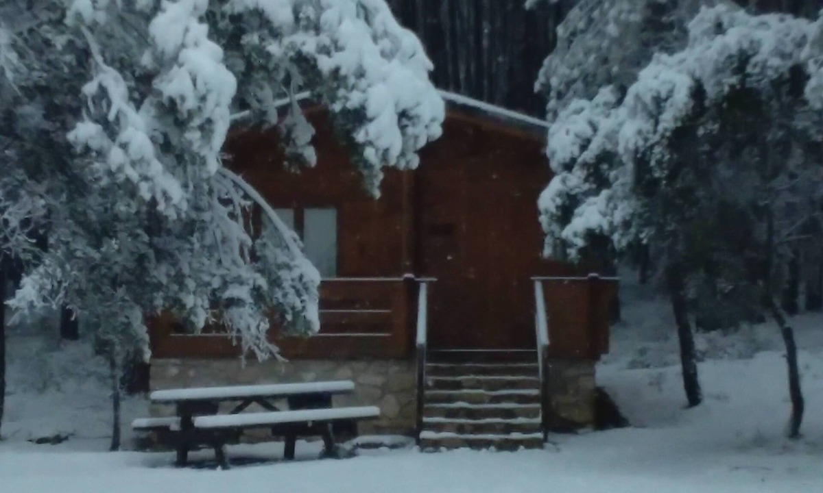 Canamares Cabin | El Llano de los Conejos Cabins - Cabin 2