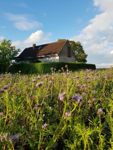 Oberhavel House | Ferienhaus Gransee unmittelbar am Stechlinsee - Radweg