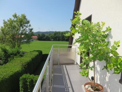 Michelfeld Apartment | Ferienwohnung Landliebe