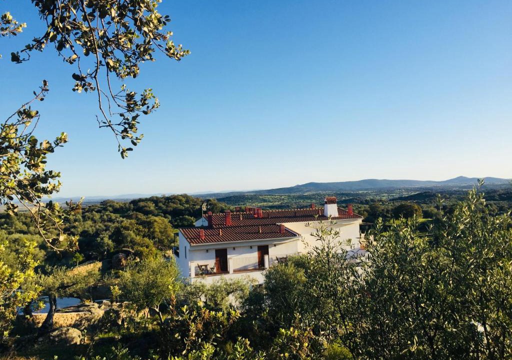 Almoharin Bed & Breakfast | Flores Amarillas B&B