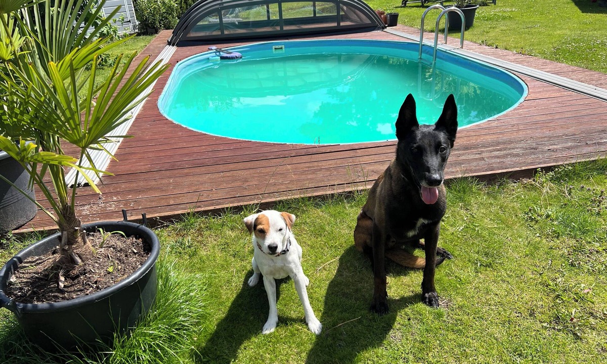 Falkensee Bed & Breakfast | Gemütliches Zimmer in Falkensee