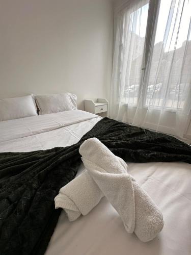 Jacquard - Prefecture Apartment | l'élégant centrale