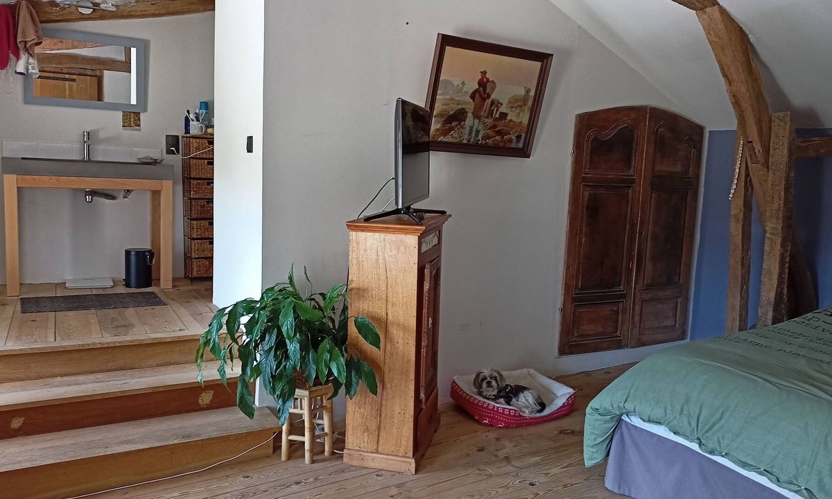 Cizos House | Maison de Charme au Cœur D'un Très Grand Parc Arboré