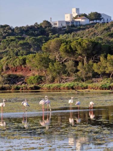 Minorca House | Mongofre Agroturismo