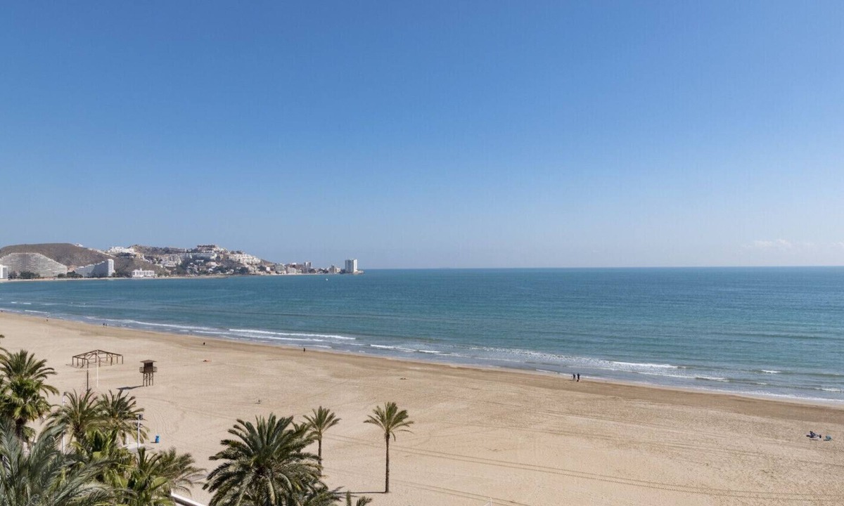 Nautilo | Cullera