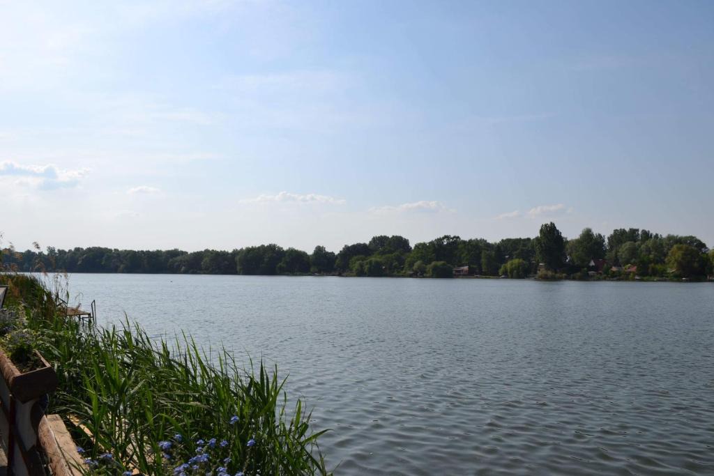 Domsod Apartment | Neptun2 apartman