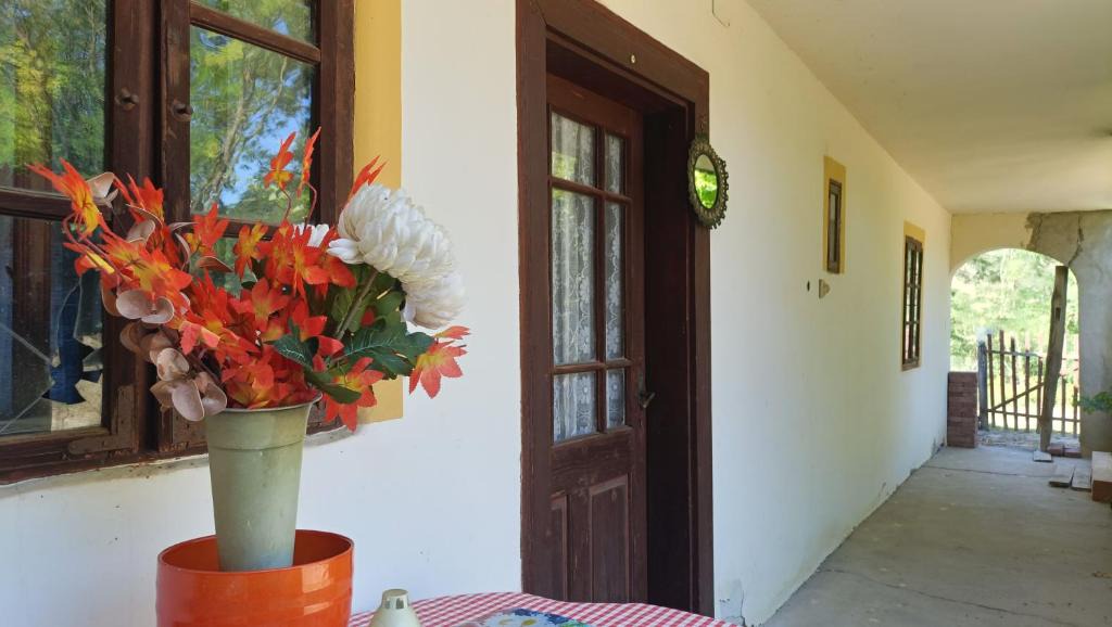 Ozora House | Ozora Relax Home