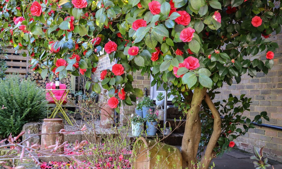 East Farleigh Cottage | Paddock View