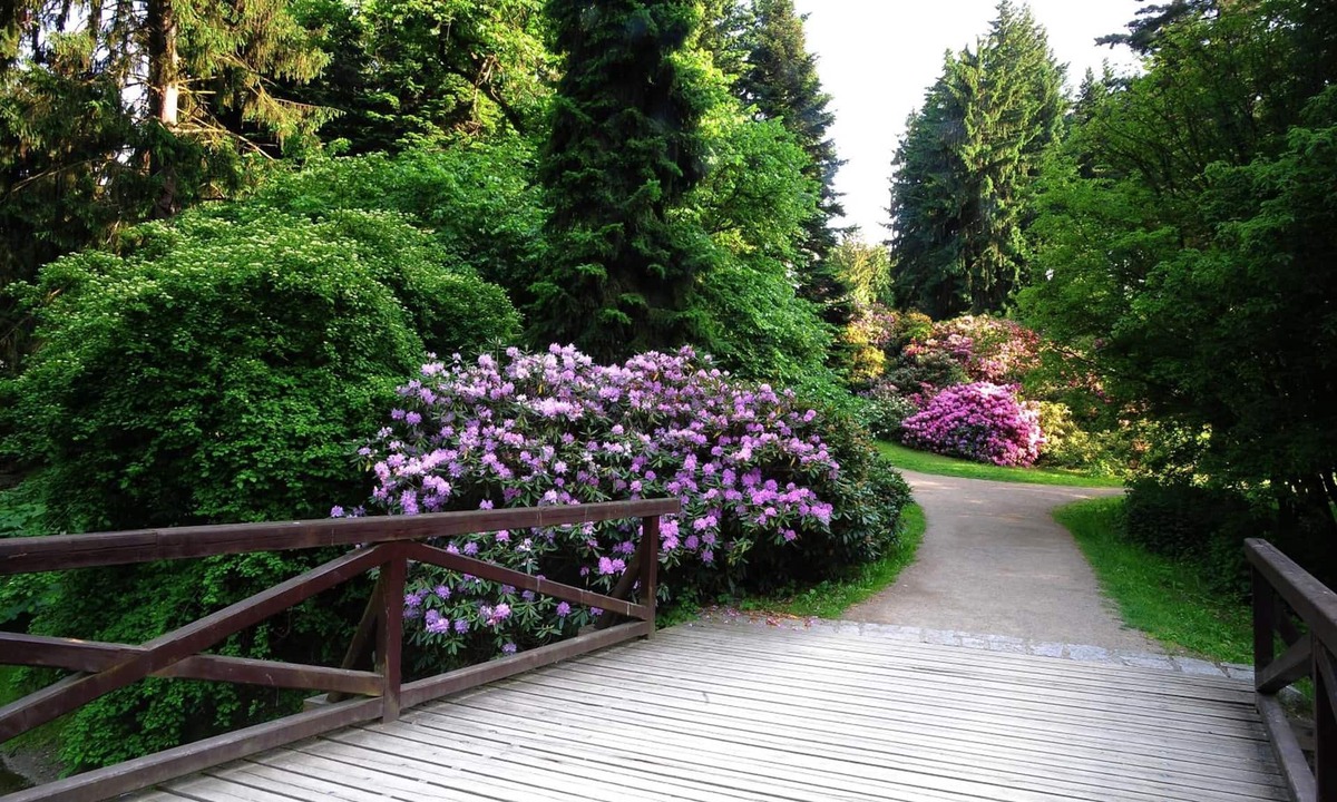 Pruhonice Hotel | Park Hotel Pruhonice