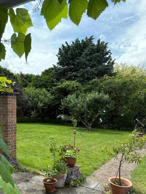 Beccles House | River Garden View