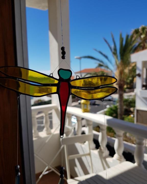 The Magic Dragonfly | Las Caletillas