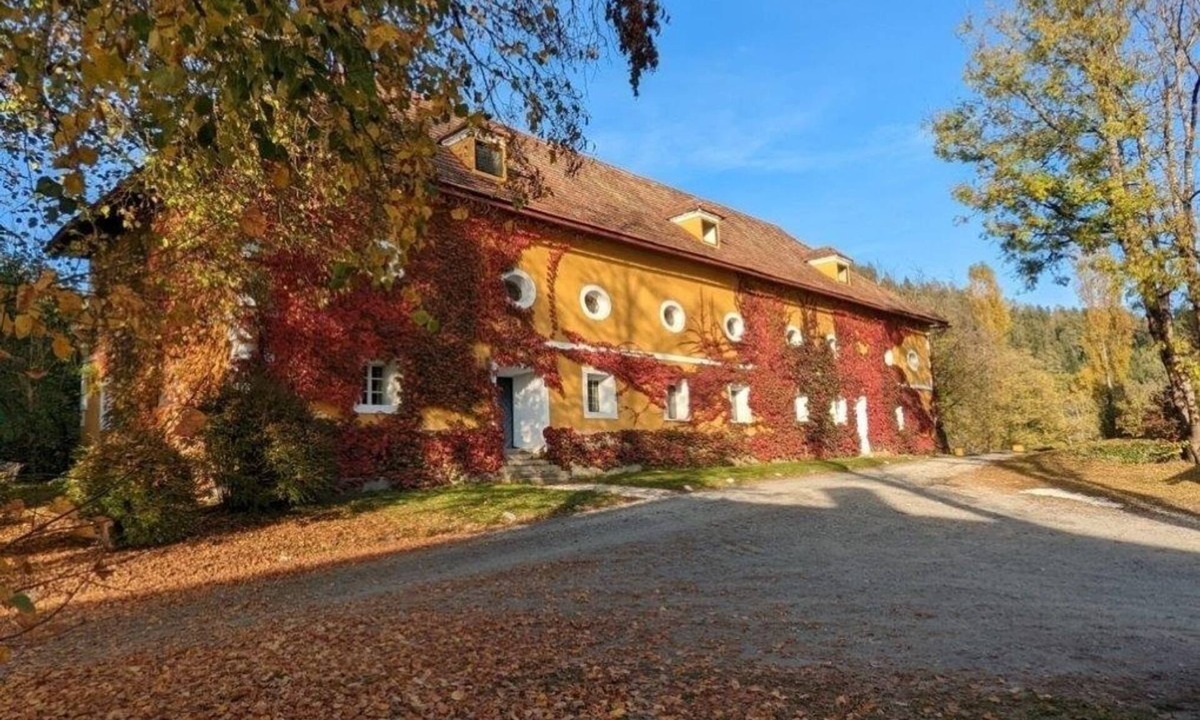 Magdalensberg House | Vacation home for 5 guests with 112m² in Pischeldorf (294808)