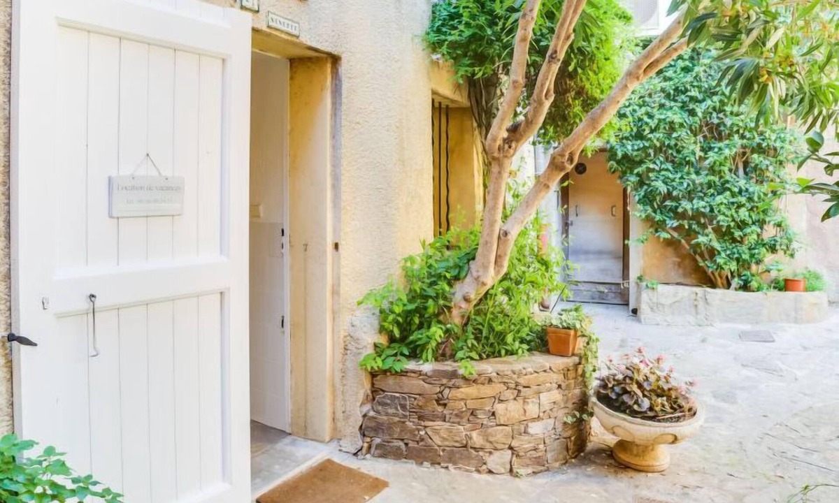 Mimosas | Bormes-Les-Mimosas