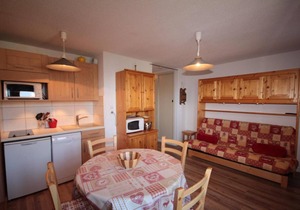 250m from ski slopes, 1st floor, view mountain, balcony, tv, ski locker, 28m², Les Saisies