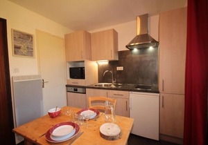 250m from ski slopes, 4th floor, balcony, tv, ski locker, 15m², Les Saisies