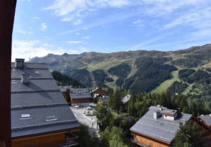 300m from ski slopes, 5th floor, view mountain, balcony, tv, ski locker, 100m², Méribel
