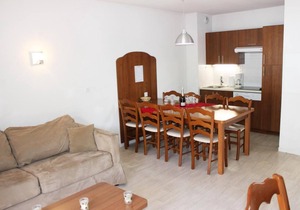 50m from ski slopes, view ski slopes, swimming pool, terrace, parking, tv, ski locker, 30-35m²