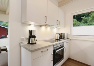 Amazing home in Thale with sauna