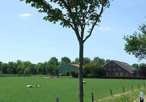 Apartment 1 - Farm Huesmann