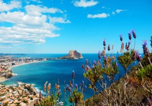 Apartment Arenal in Calpe/Calp - 2 persons, 1 bedrooms