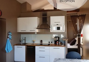 Apartment/flat - LYON