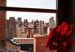 Apartment/flat - LYON