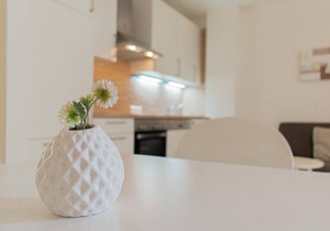 Apartment shell