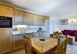 Appartement 3 pièces avec parking et WIFI à 200m des remontées - FR-1-398-638