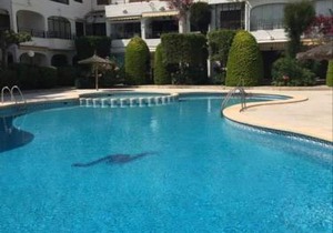 Cabo Roig Bellavista 26