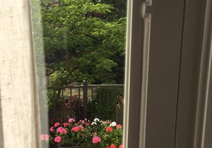 Charming 2 bed 2 bathroom house, secluded garden, sunny terrace, parking, wifi.