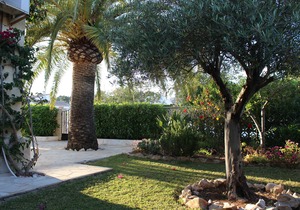 Claudia Javea Villa