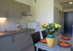 Cozy Chalets by the Pond with Terrace, Outdoor Activities, and Spa in Veauchette