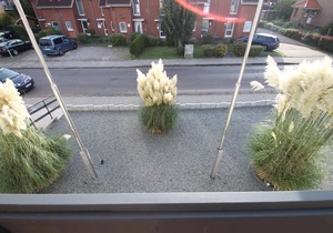 Dune Residence Apartment 8