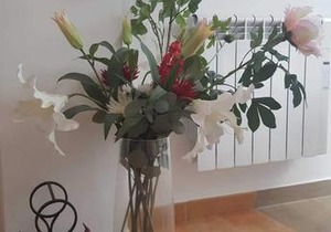 Duplex Altea