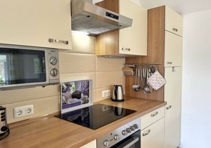 Family-friendly apartment with infrared sauna, fireplace & balcony near the beach -