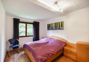 Ferienwohnung in Benneckenstein